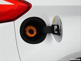  Gas cap open photo